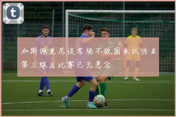 加斯佩里尼谈客场不敌国米认为丢第三球后比赛已无悬念
