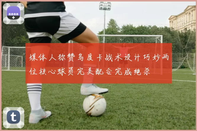 媒体人称赞乌度卡战术设计巧妙两位核心球员完美配合完成绝杀
