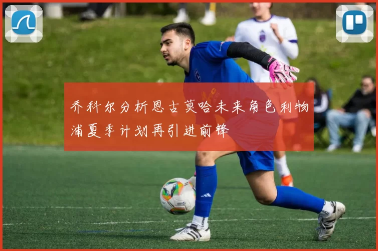 乔科尔分析恩古莫哈未来角色利物浦夏季计划再引进前锋