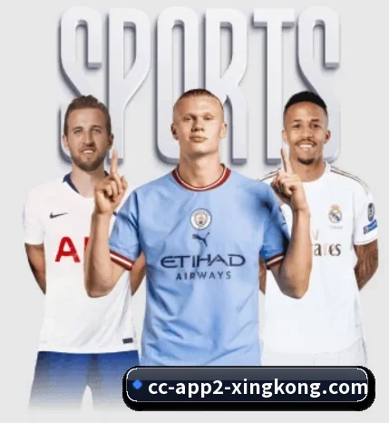 用内容积累长期价值 | XingkongSports